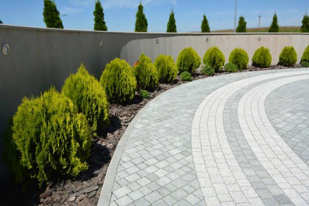 Best Driveway Paving Company  in Walton, KY